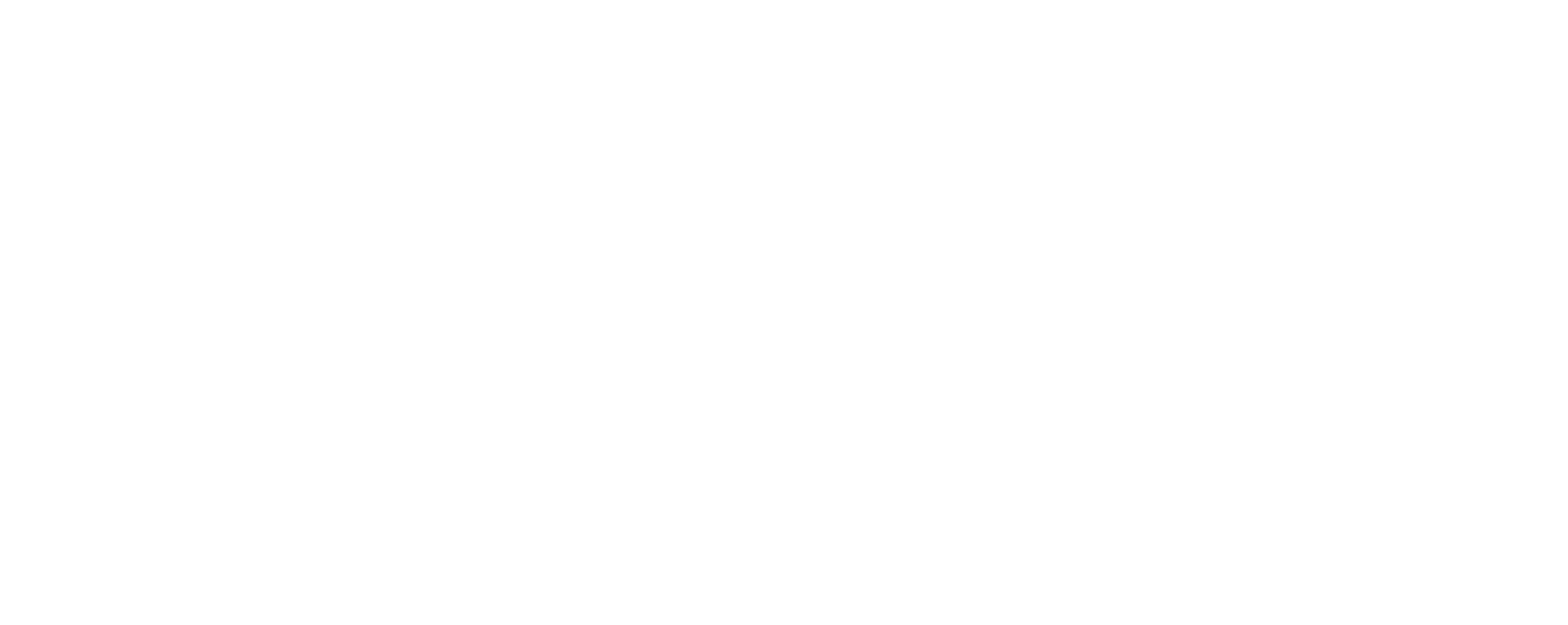 a handwritten font logo that says "mountain thief"